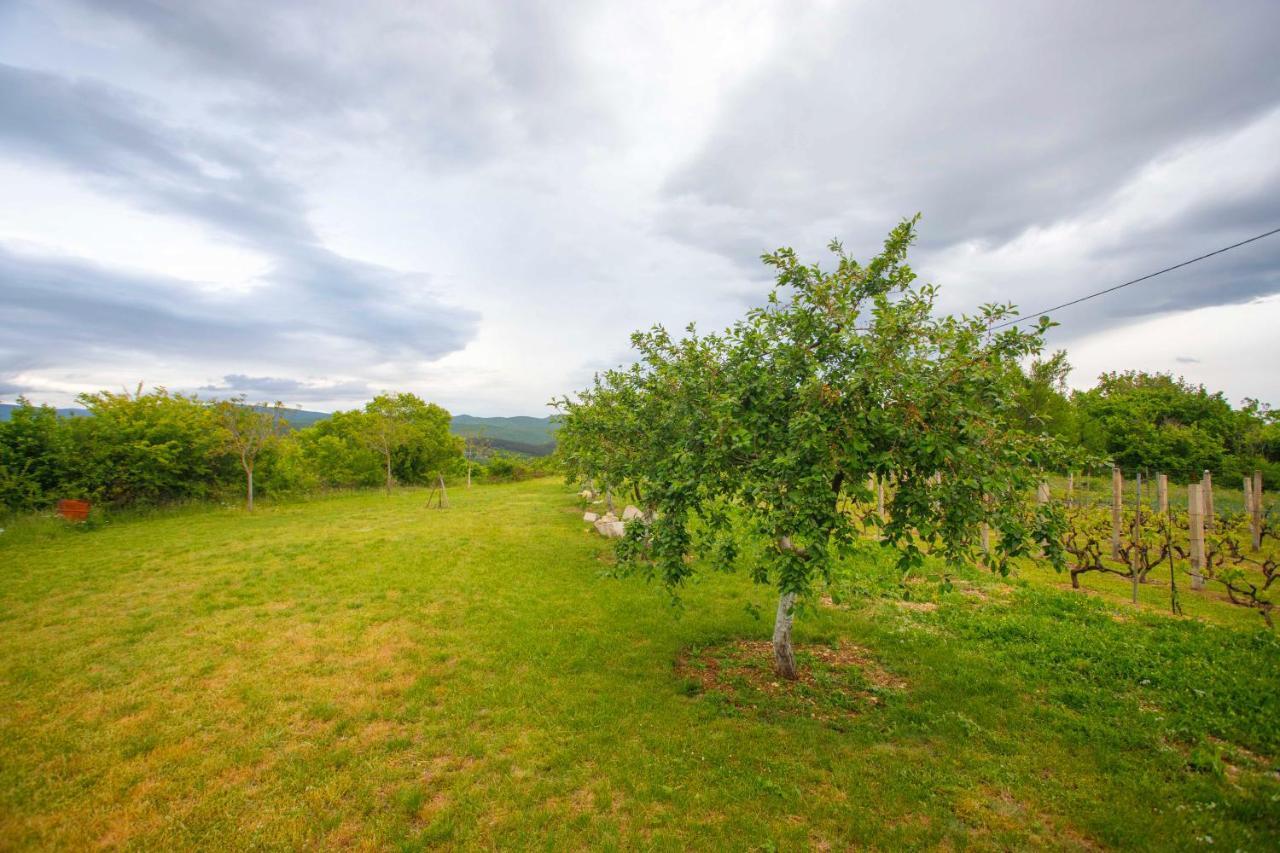 Casa Di Oliva-House With Heated Pool & Jacuzzi In Trilj, Croatia 빌라 외부 사진