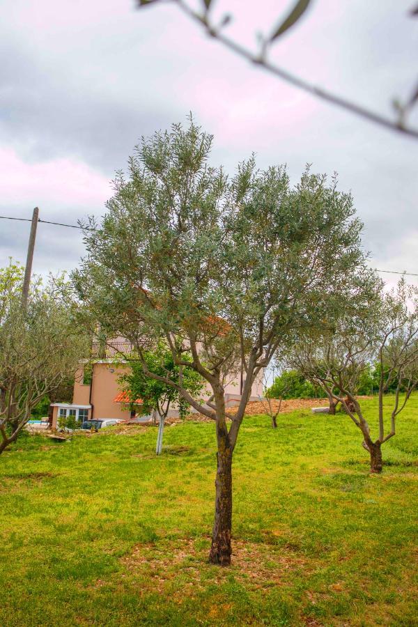 Casa Di Oliva-House With Heated Pool & Jacuzzi In Trilj, Croatia 빌라 외부 사진