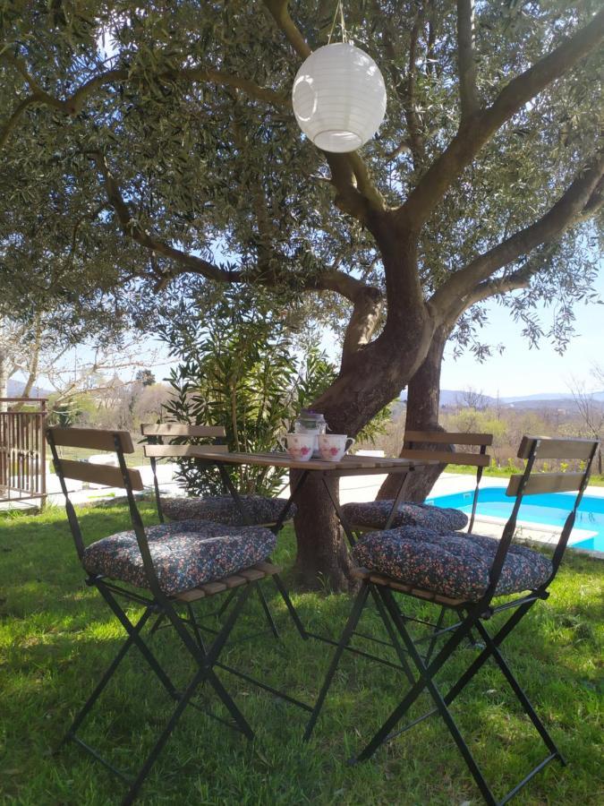 Casa Di Oliva-House With Heated Pool & Jacuzzi In Trilj, Croatia 빌라 외부 사진