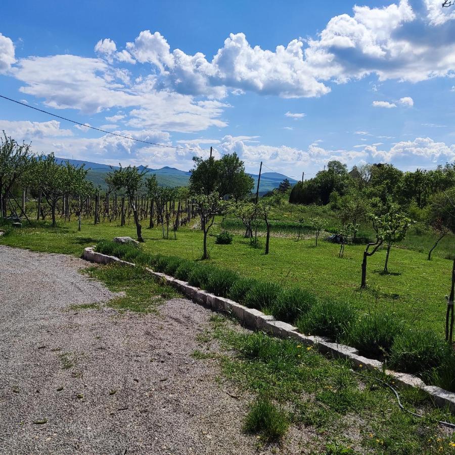 Casa Di Oliva-House With Heated Pool & Jacuzzi In Trilj, Croatia 빌라 외부 사진
