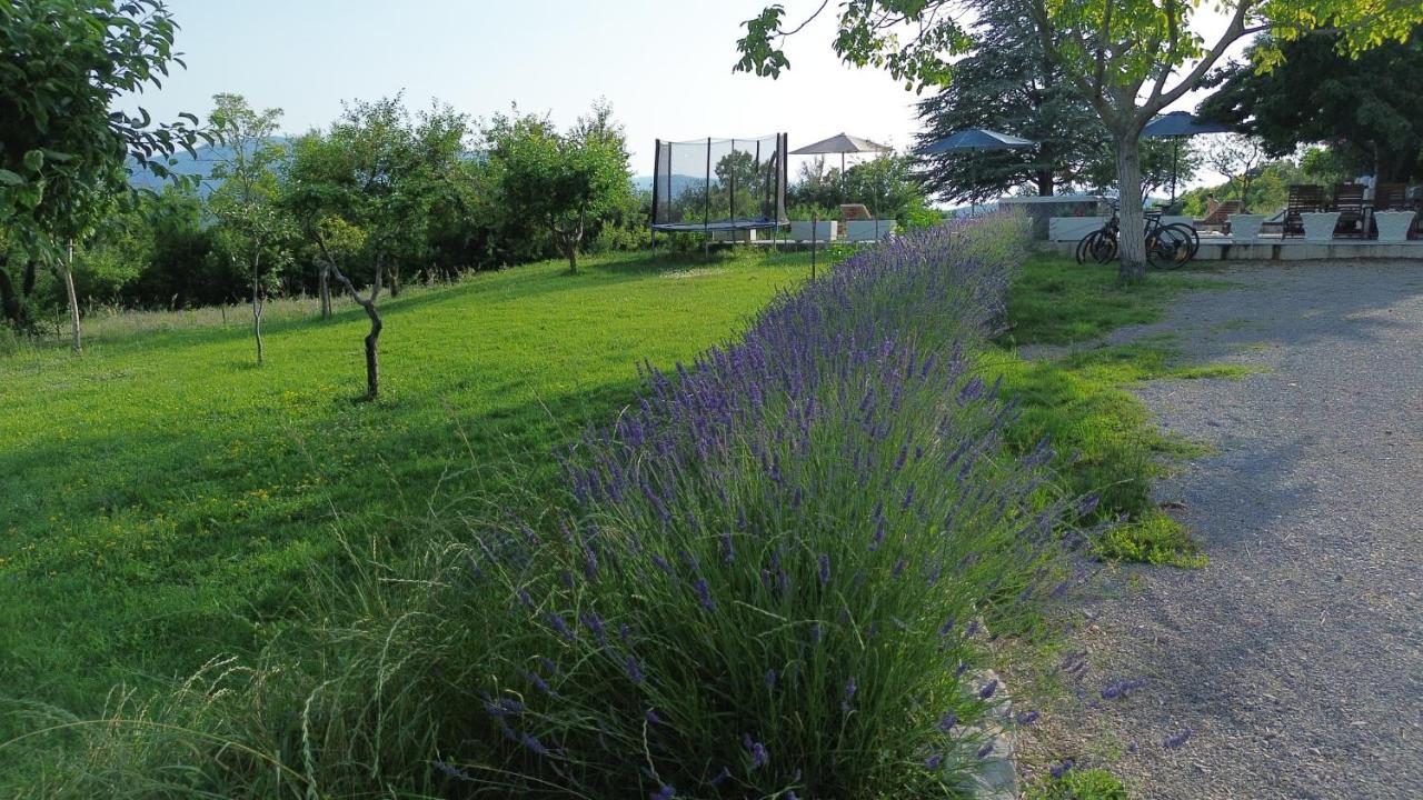 Casa Di Oliva-House With Heated Pool & Jacuzzi In Trilj, Croatia 빌라 외부 사진